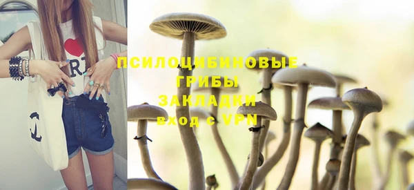 mdpv Верея