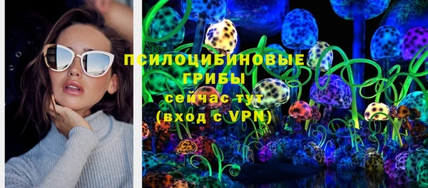 apvp Верхний Тагил